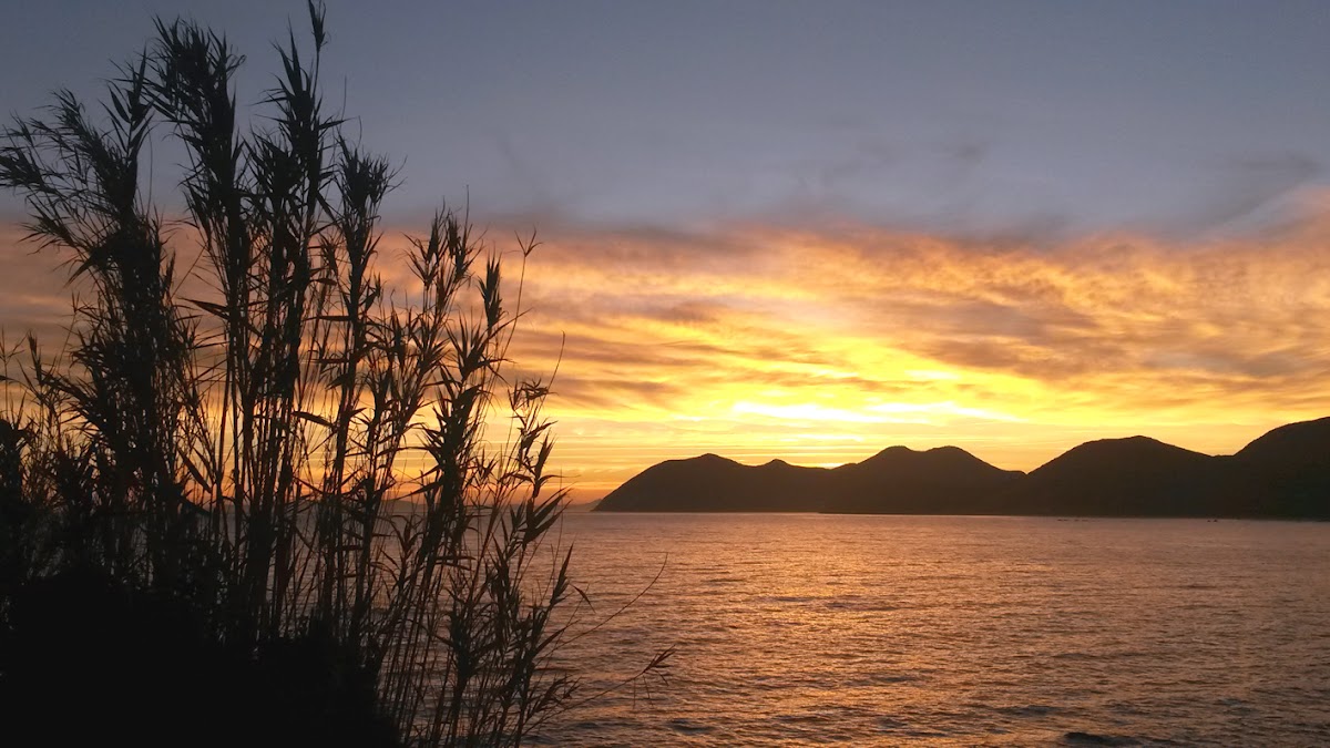 Posada la Mies - Foto 5