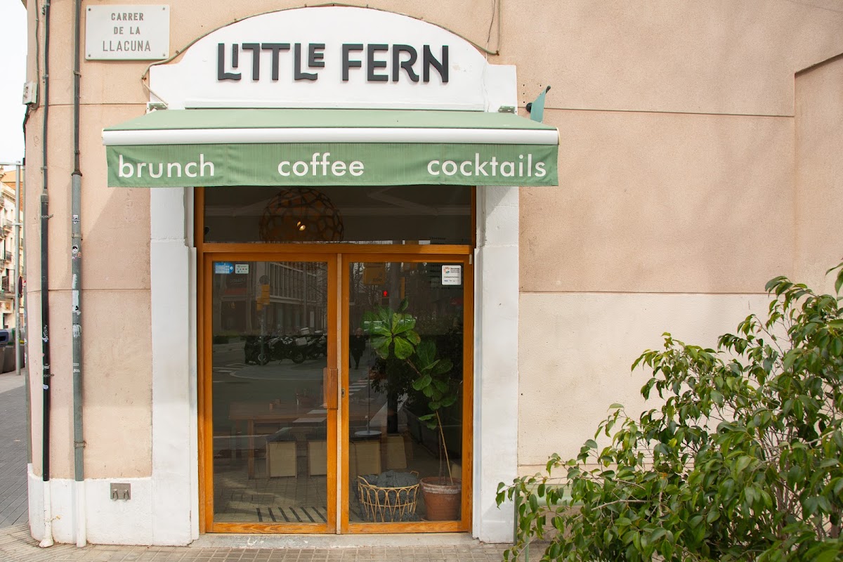 Little Fern - Foto 1