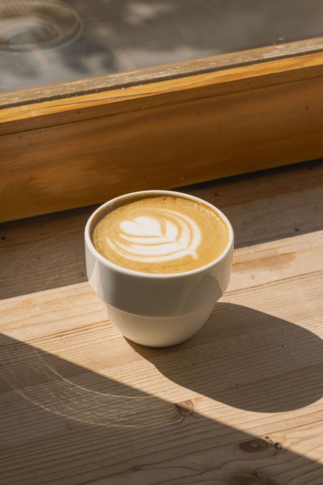 Little Fern - Foto 4