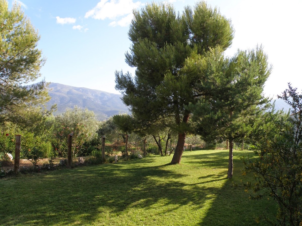 Casa d'a Tienda y Balcón de Guara - Foto 5