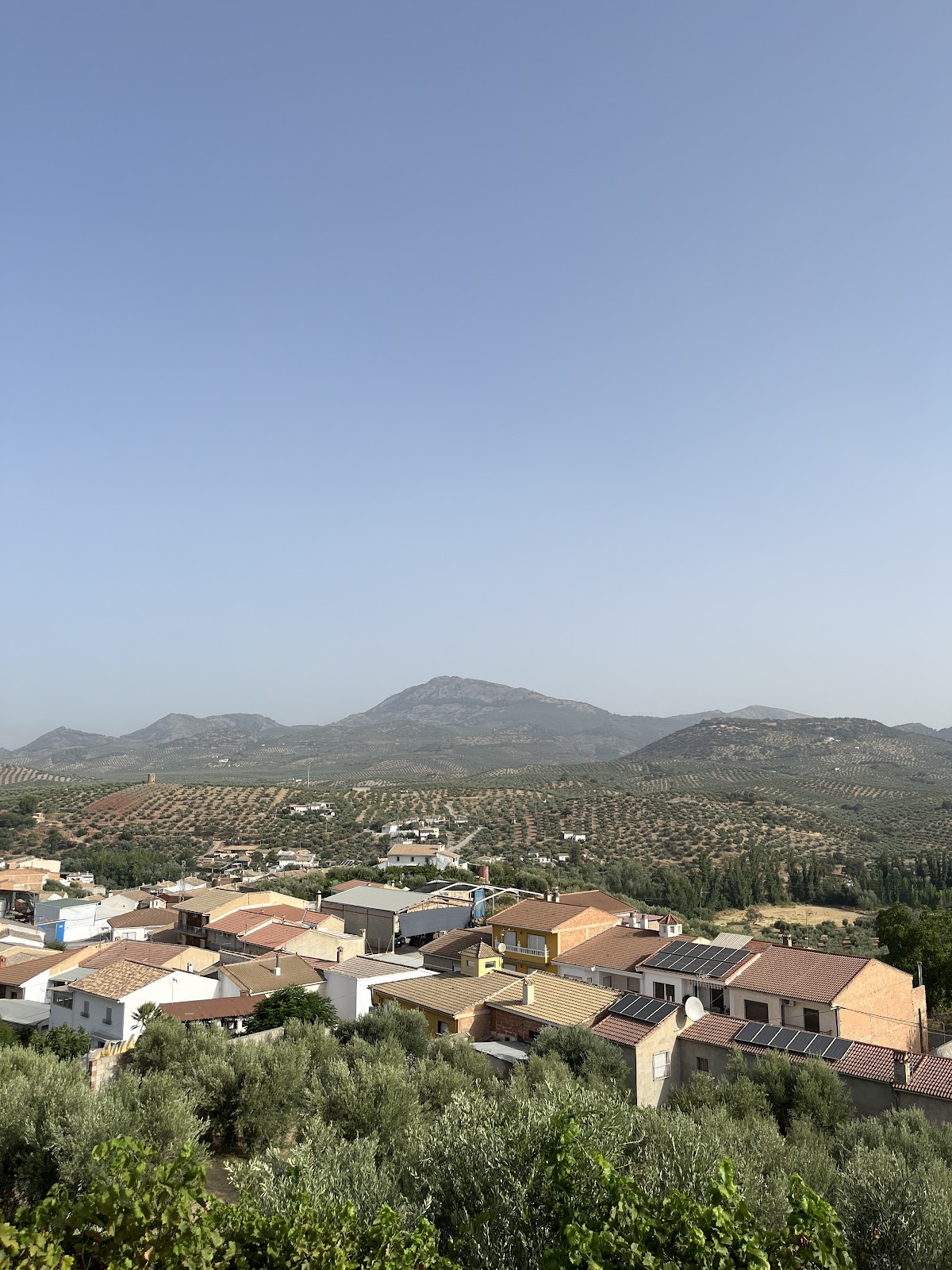 La casa de Dejna - Foto 4