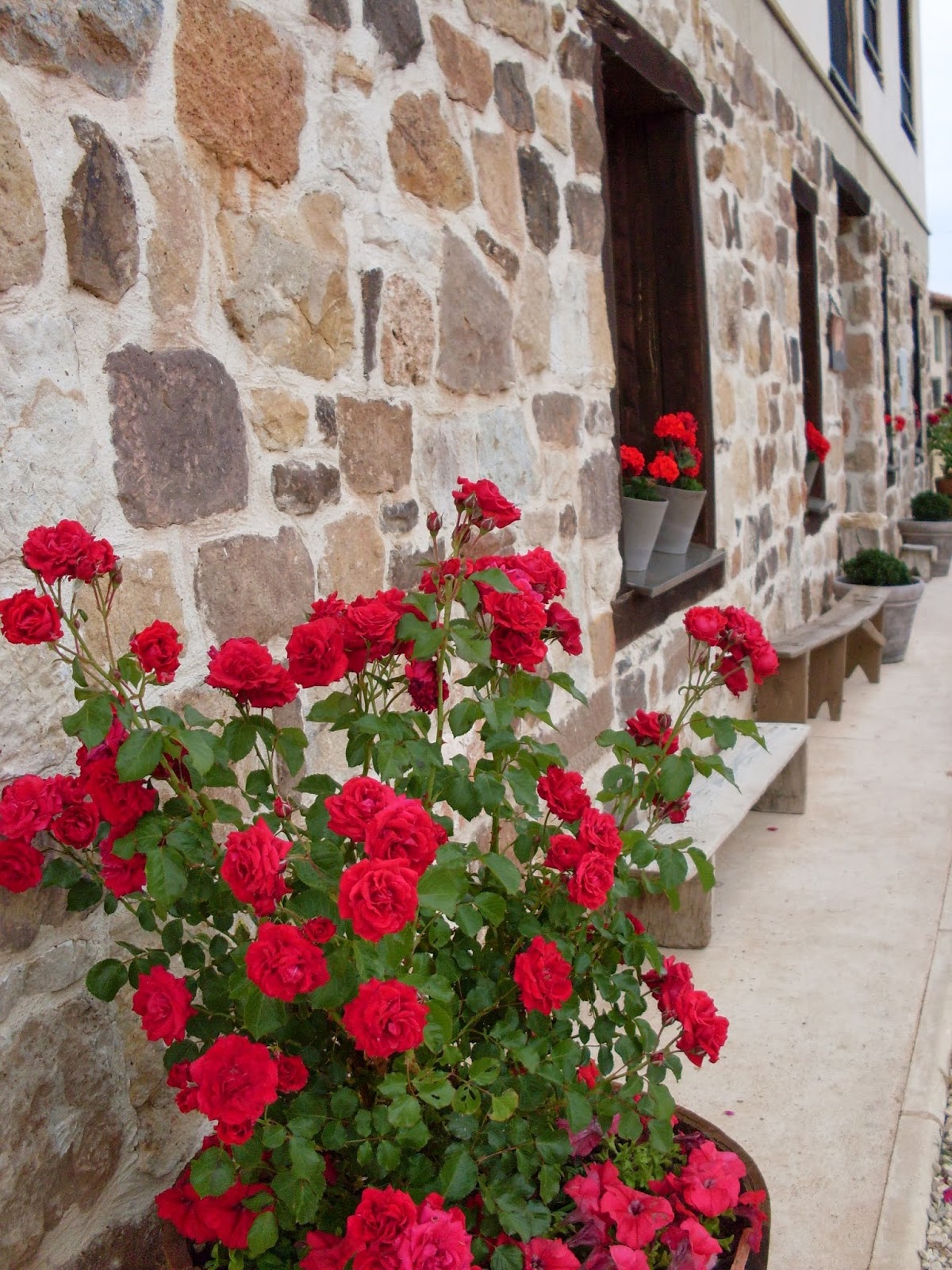 Hotel Valdelinares - Foto 5