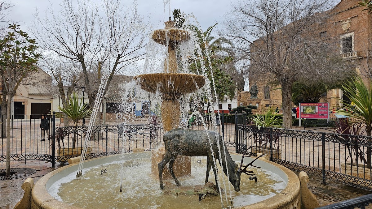 Bar mi cortijo - Foto 5