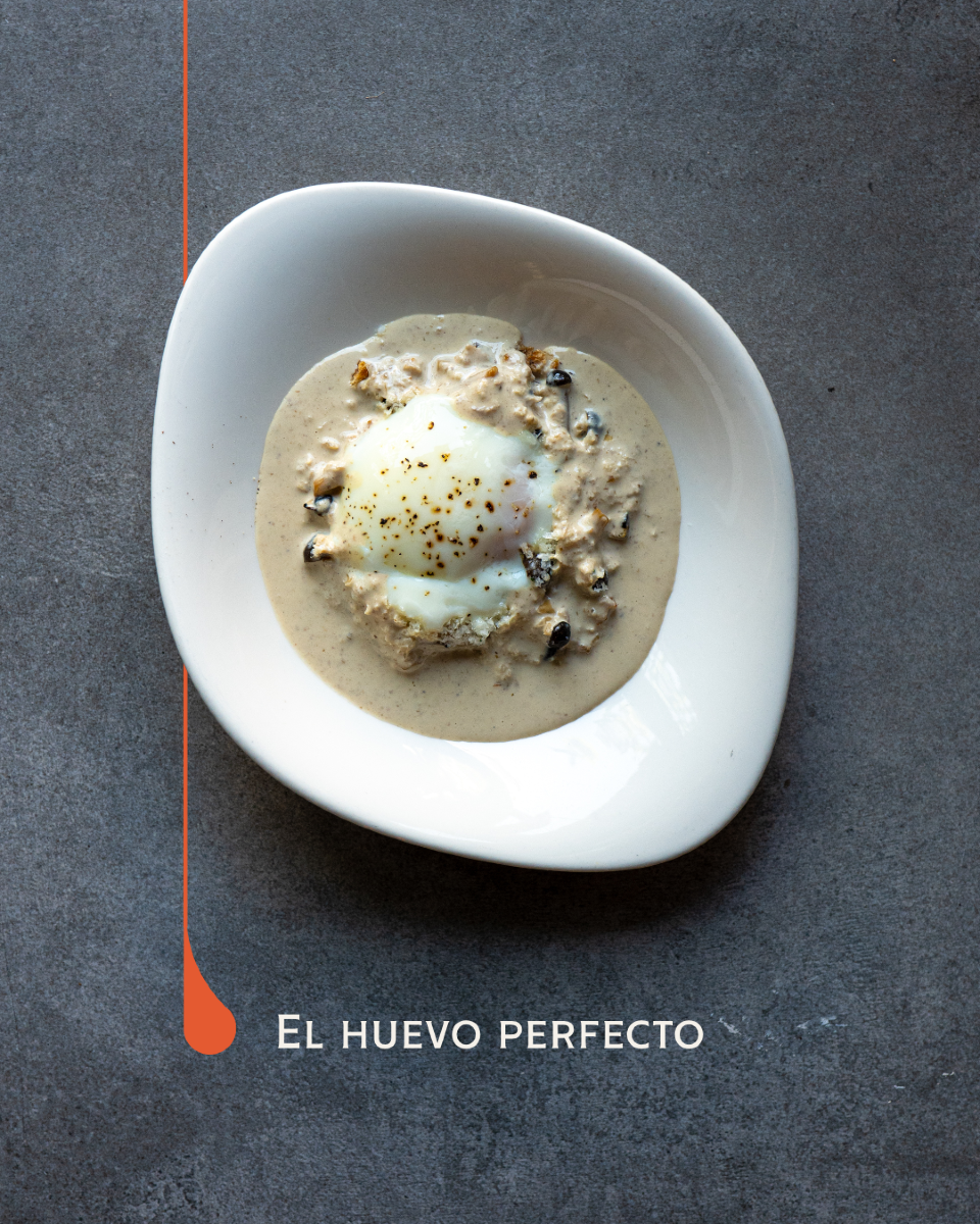 Tortuga Restaurante - Foto 3