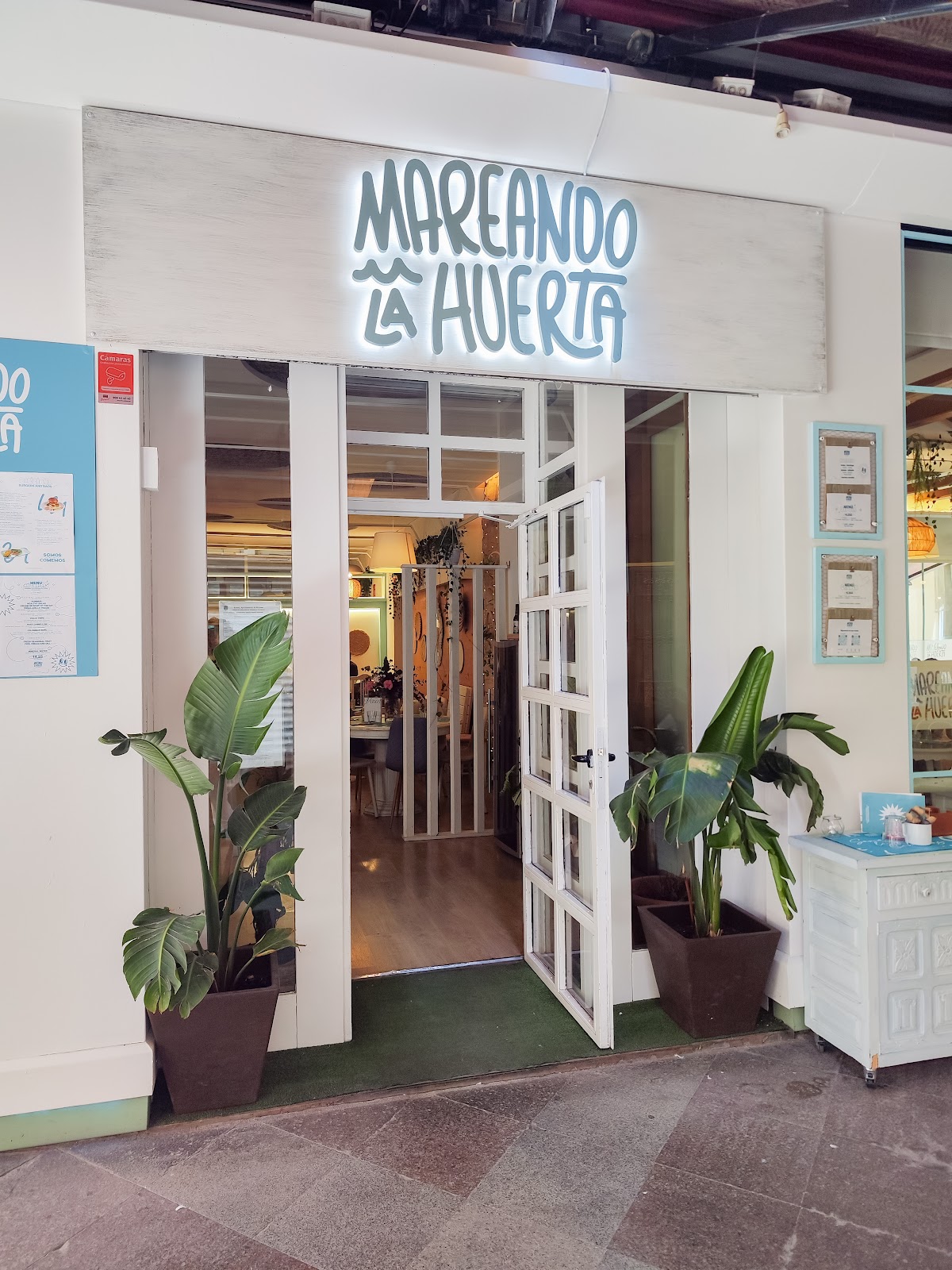 Mareando la Huerta - Foto 5