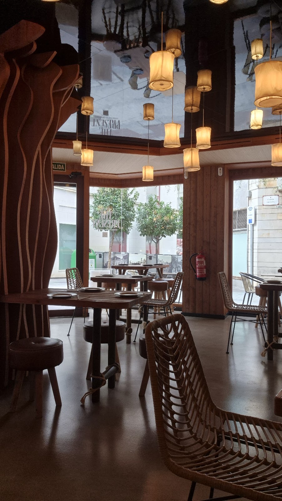 Kohlanta Elche - Foto 5