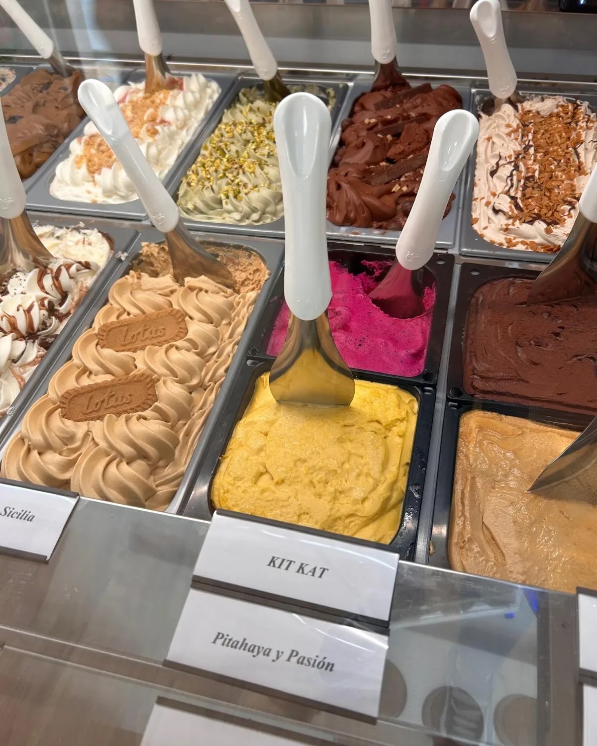 Heladería Artesanal Carpe Diem - Foto 2