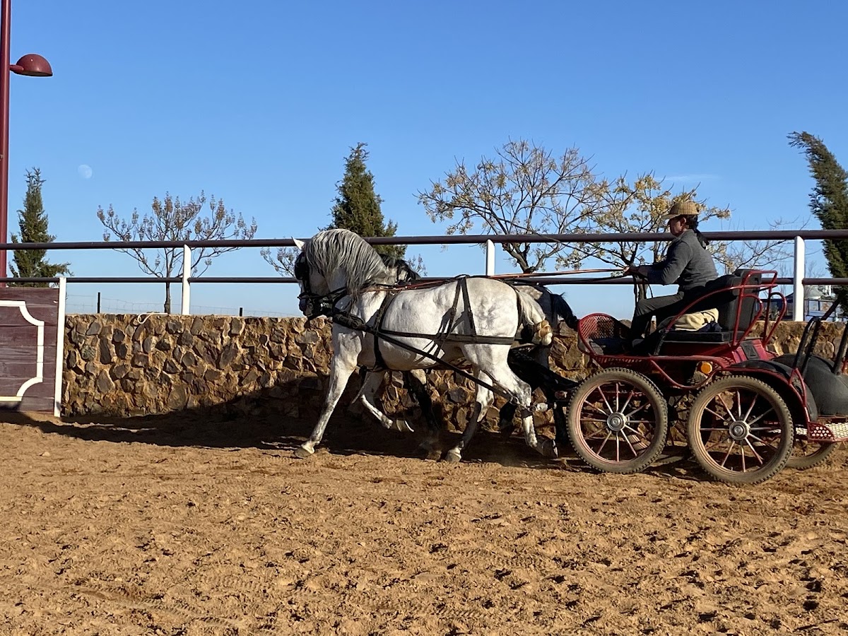 Casa Rural Yeguada Jiménez Latorre - Foto 5