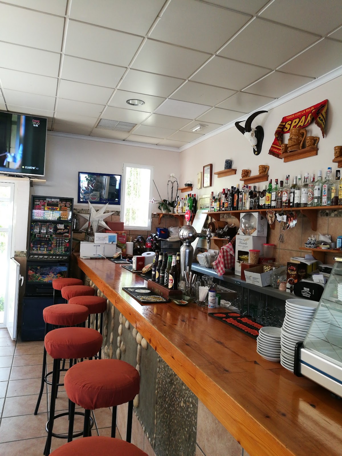 La Zappa Bar - Foto 1