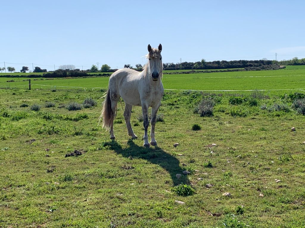 CASA JUSTO | Casa Rural en Huesca - Foto 3
