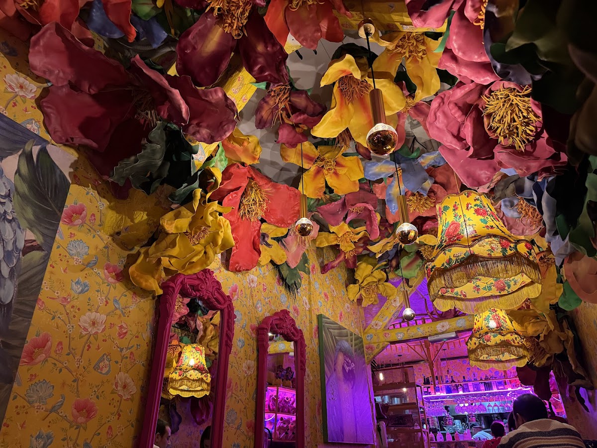 Rosi La Loca - Foto 4