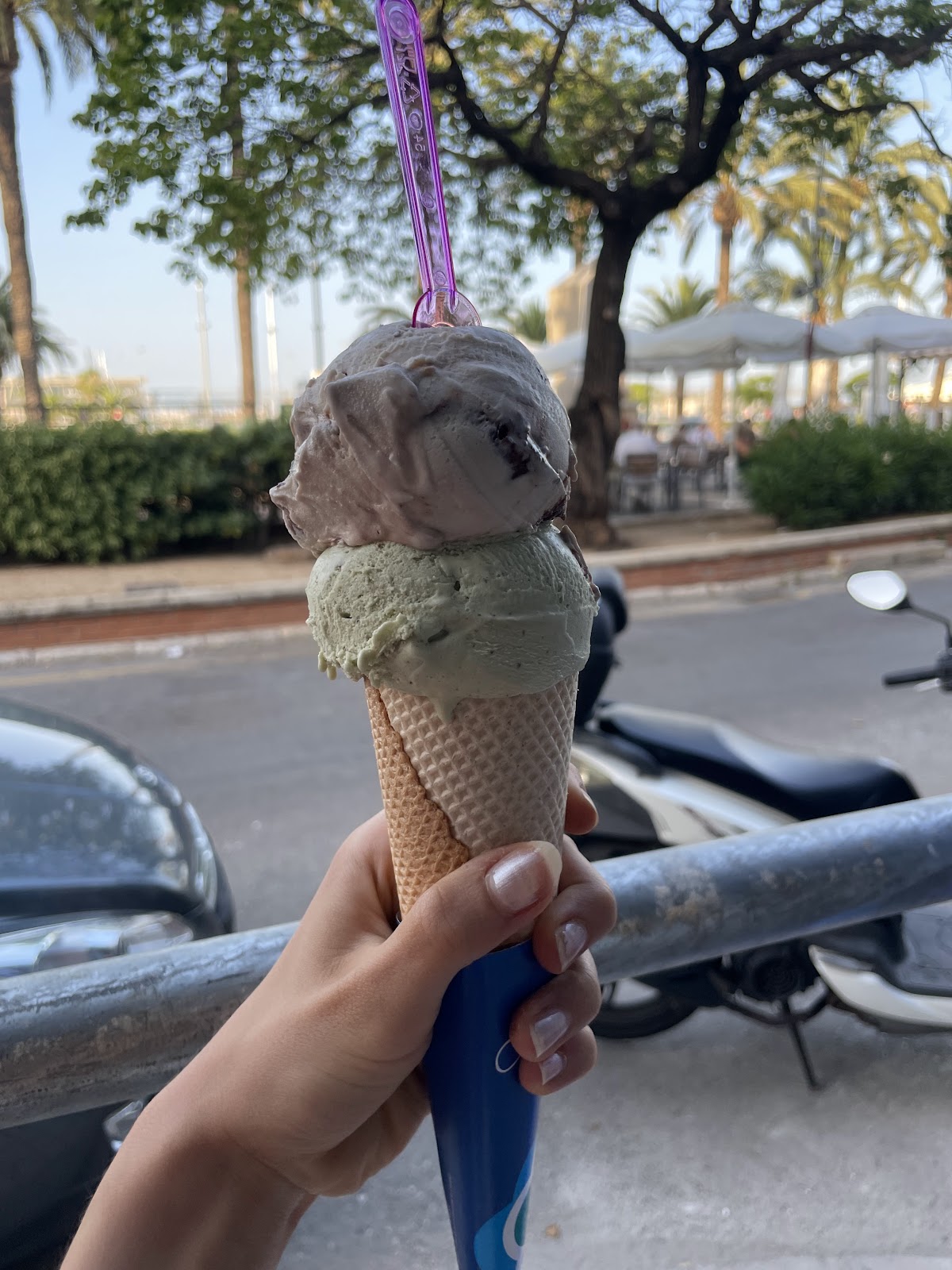 Heladería Anima Dénia - Foto 3