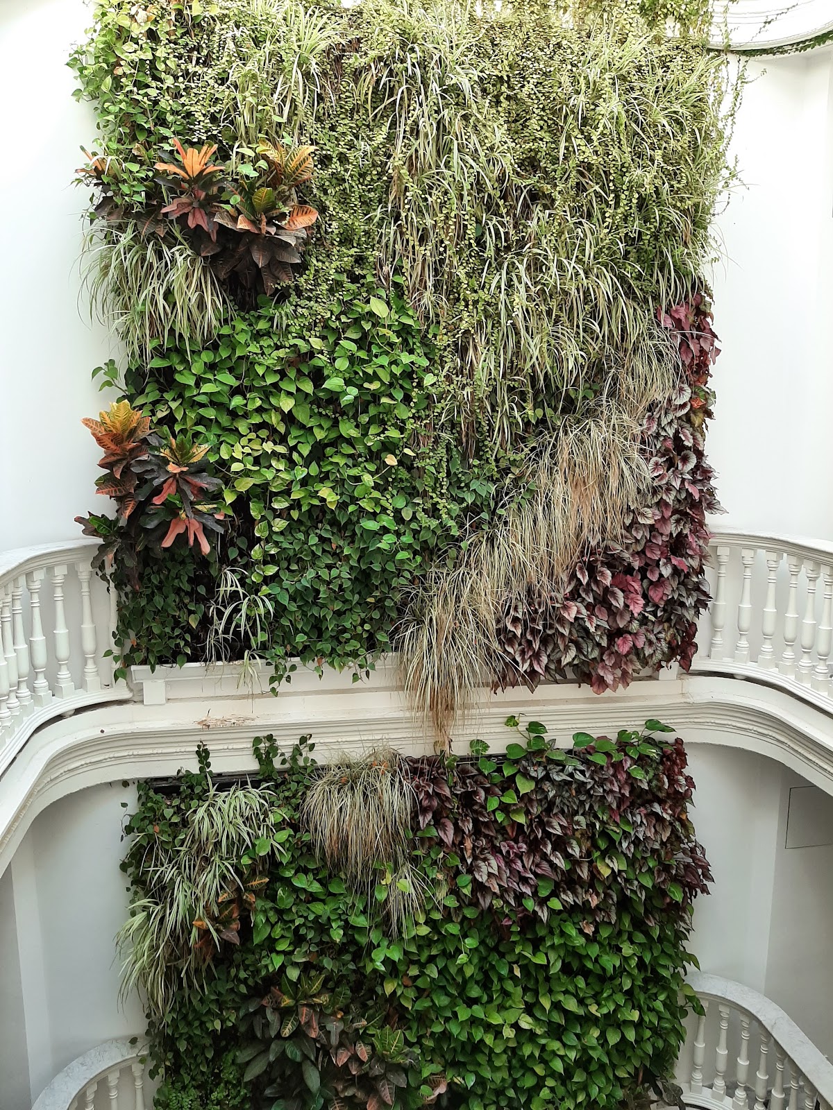 El Armador Casa Palacio - Foto 3