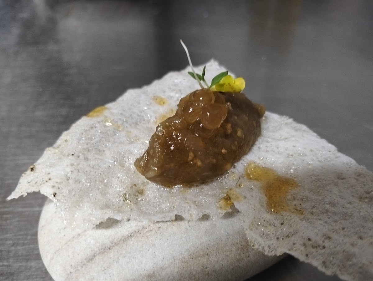 Gallina Clueca Gastrobar - Foto 2