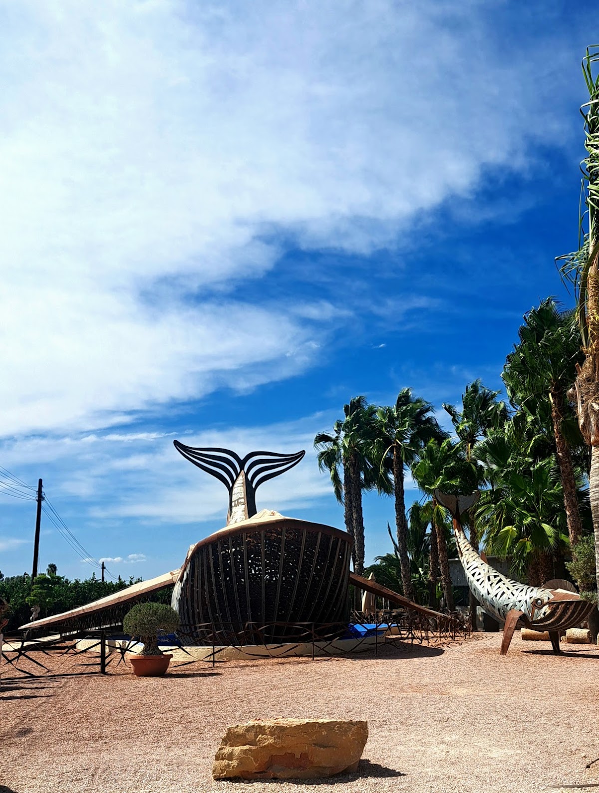 Restaurante Ca Aleix - Foto 4