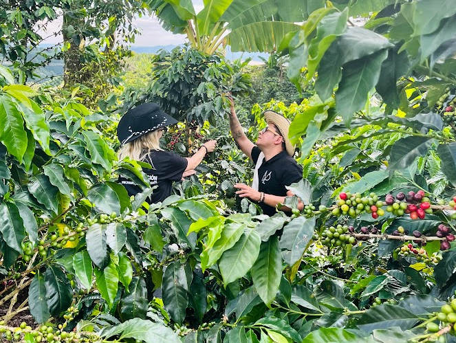 PEPPO´S coffee - Foto 2