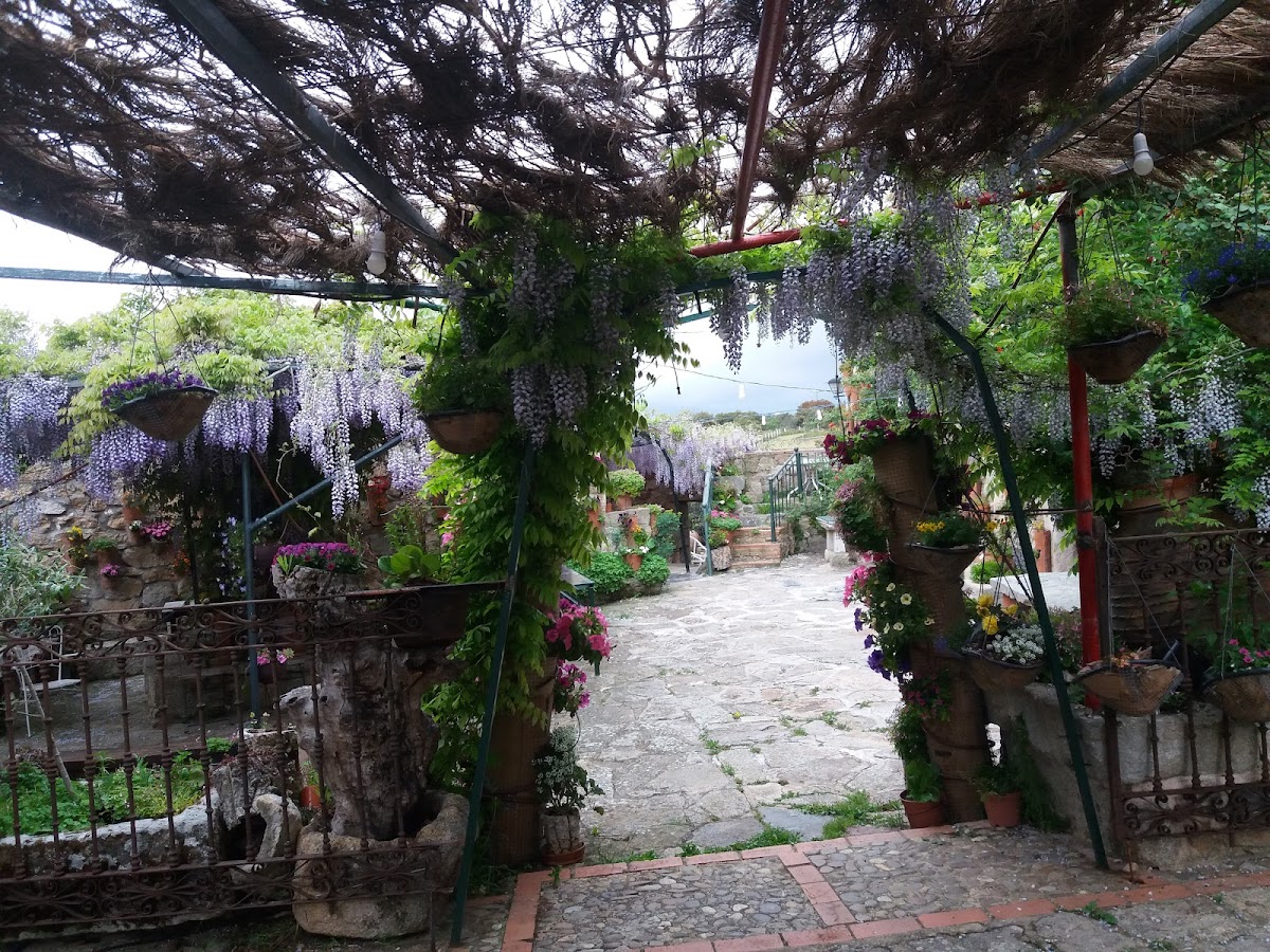 Los Jerónimos - Foto 4