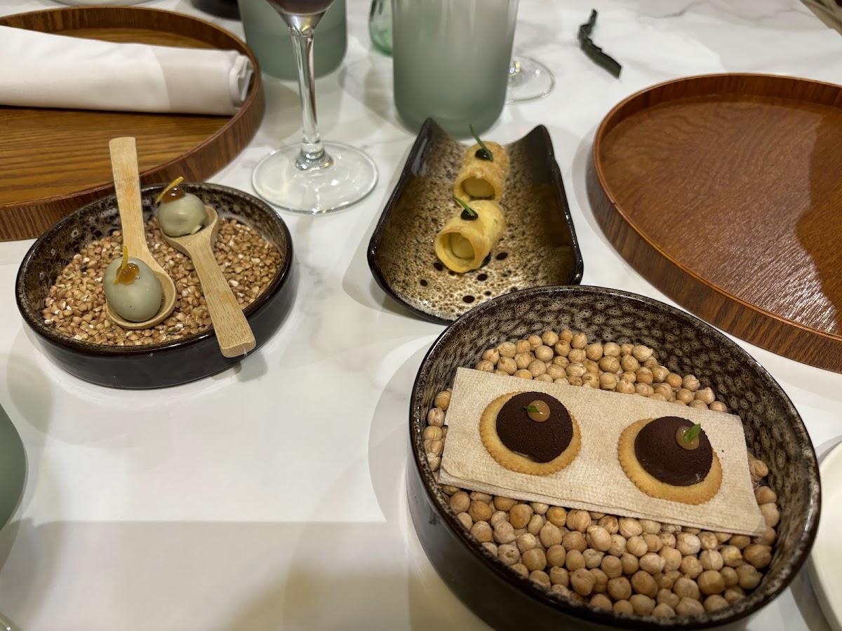 Terra Palencia - Foto 2