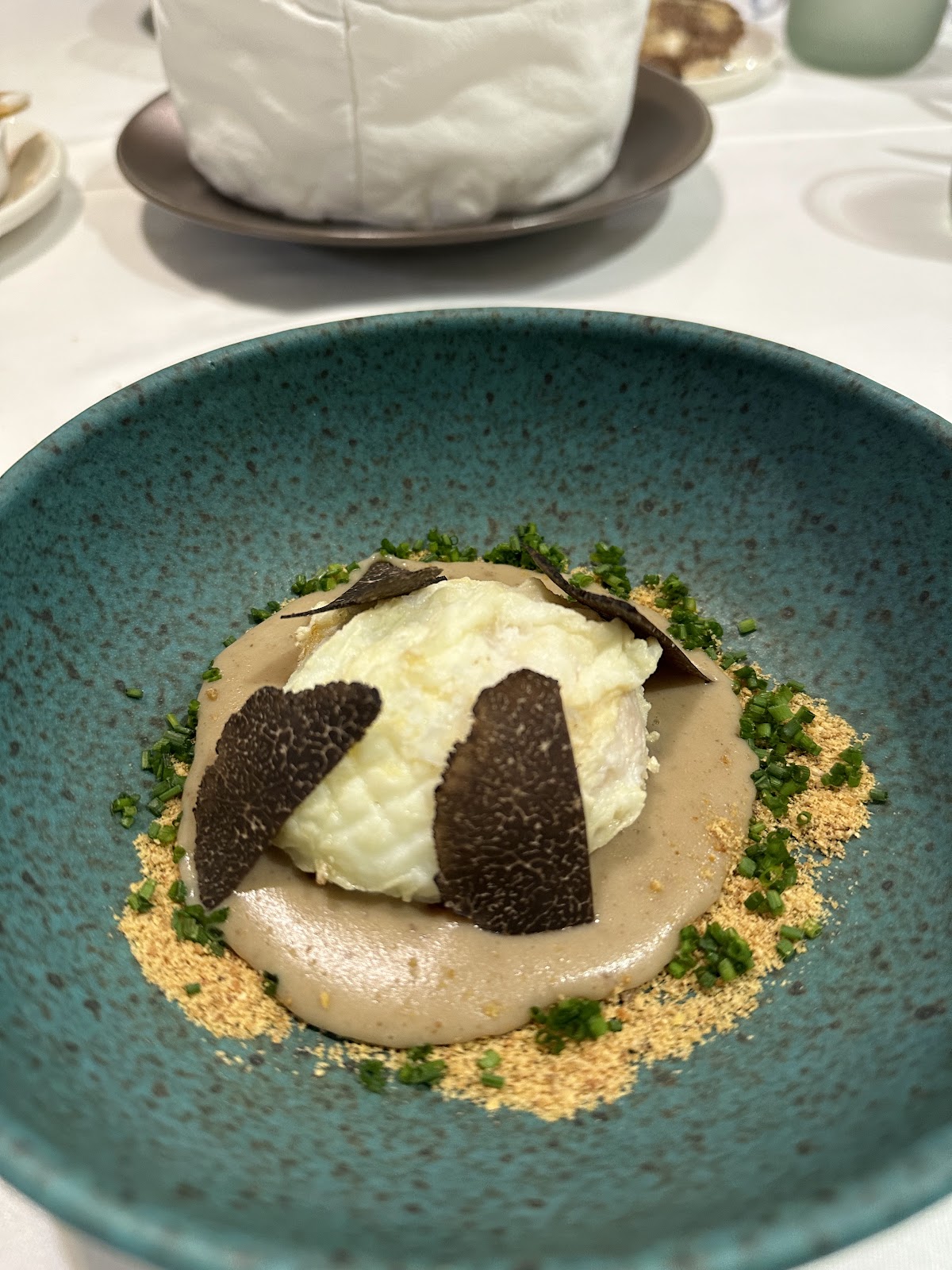 Terra Palencia - Foto 5