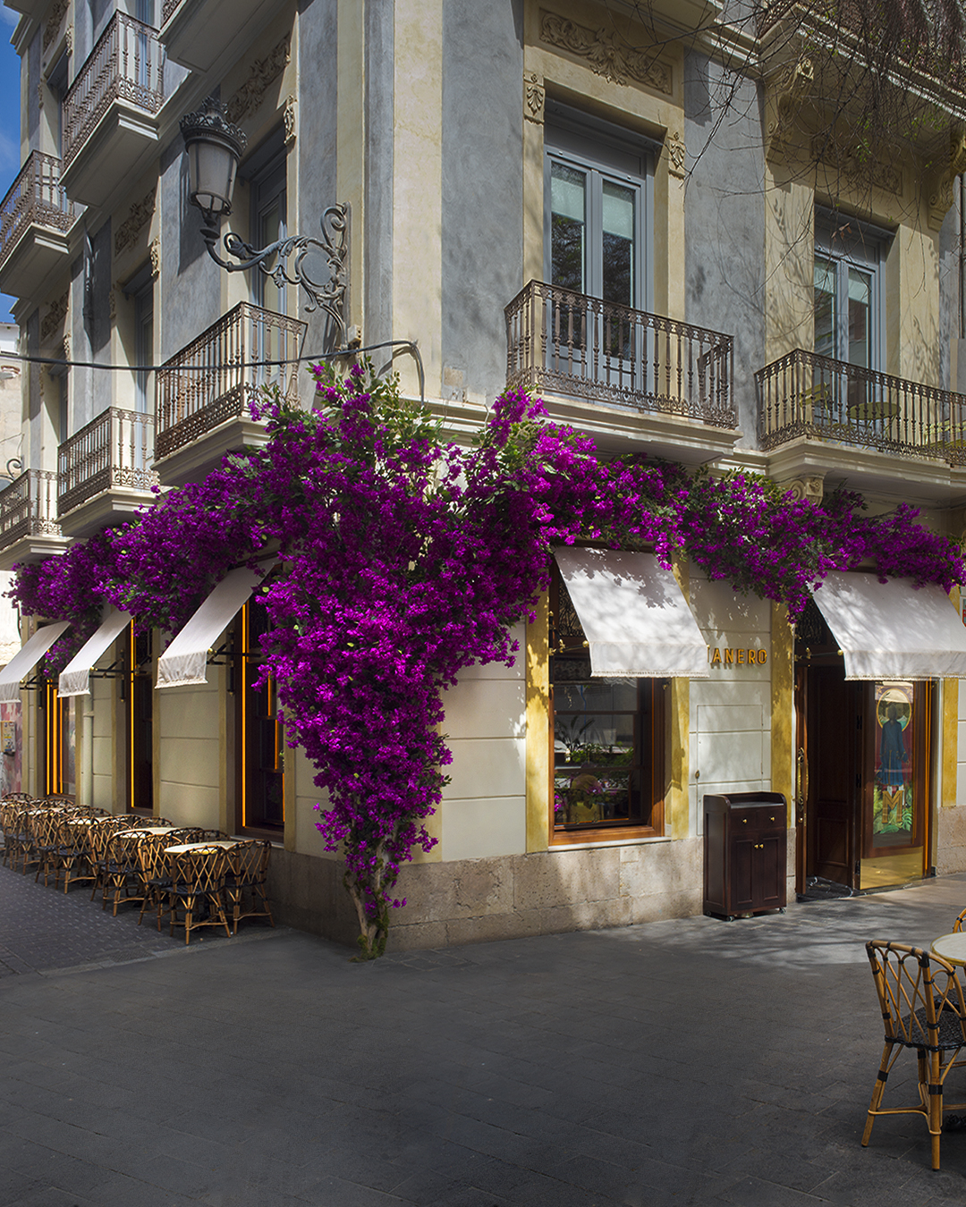 Manero Alicante - Balmis - Foto 3