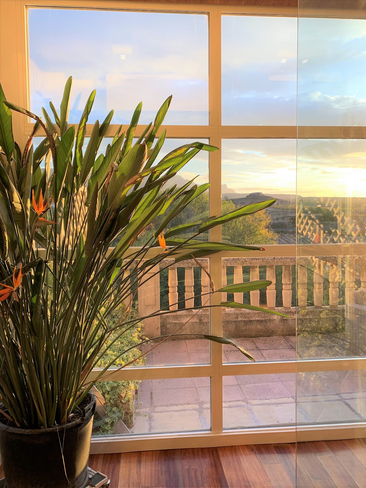 Casona del Boticario - Foto 1