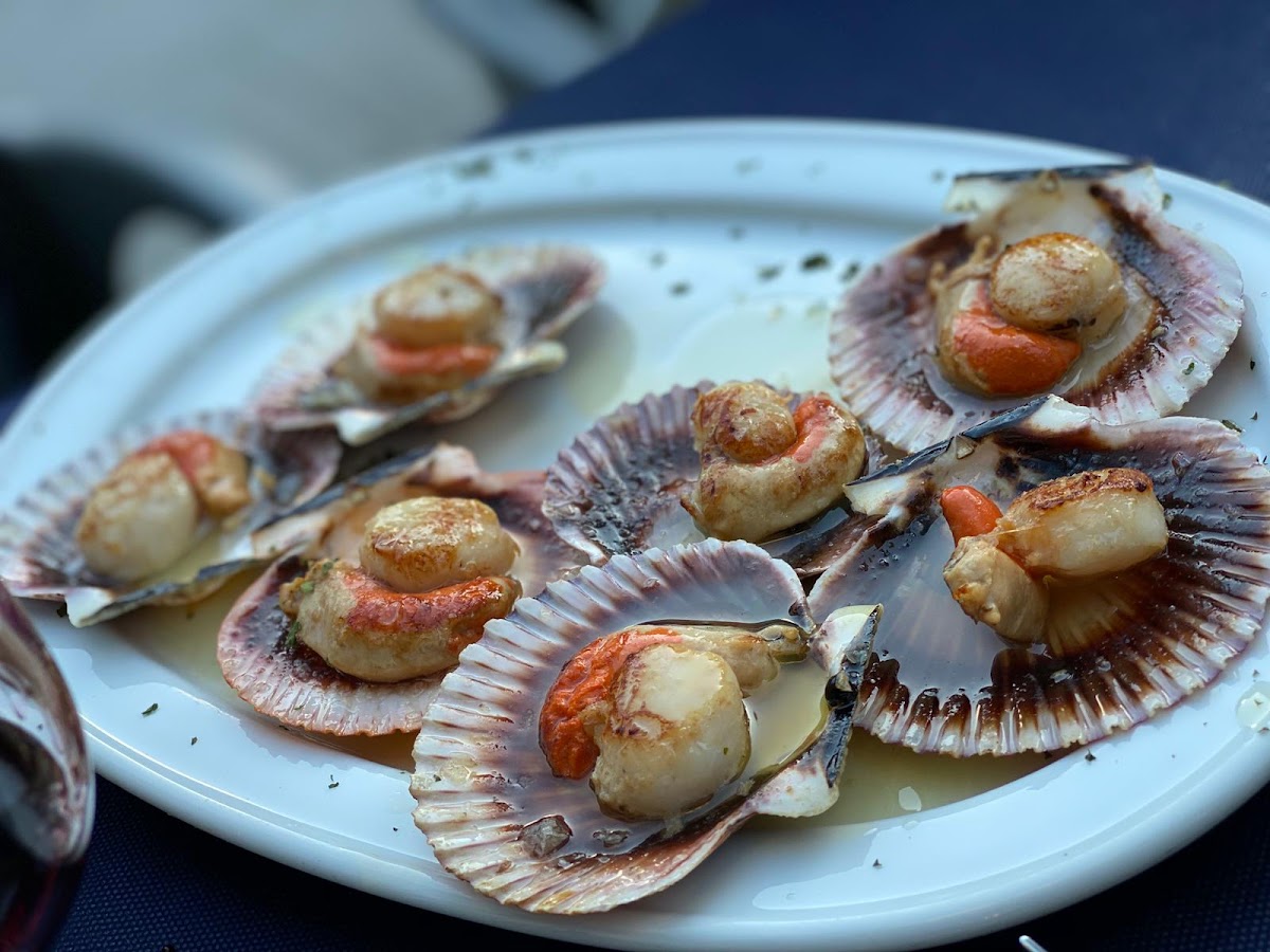 La Taska de Isozaki - Foto 2