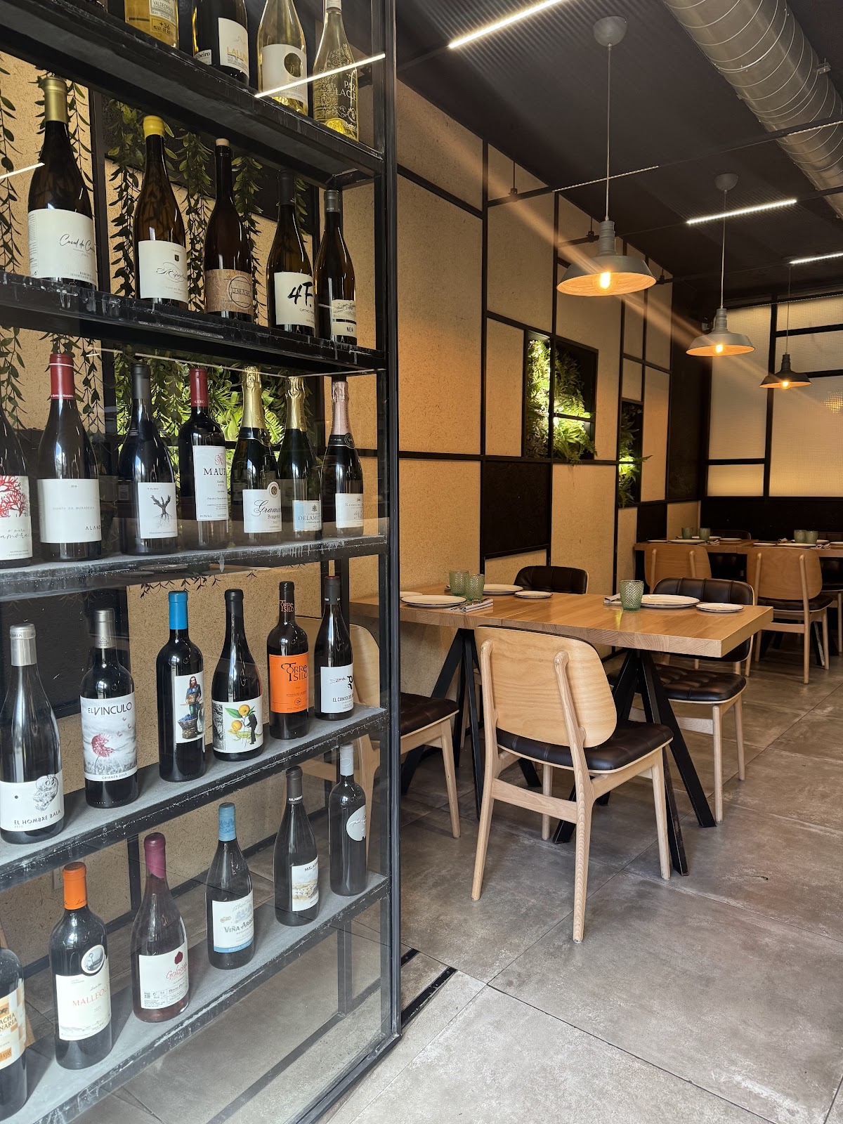 Umami Gastronómico Ourense - Foto 5