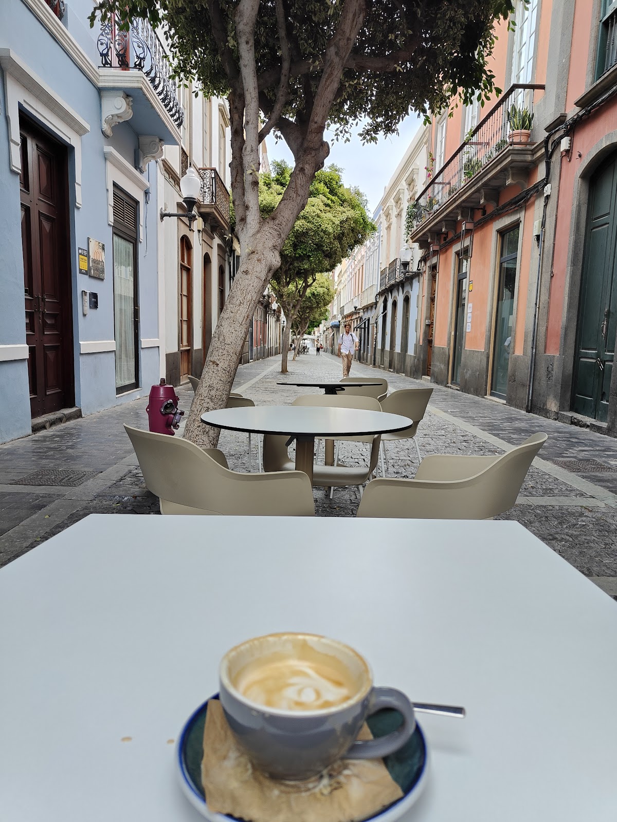 Kafema specialty coffee roastery - Foto 5