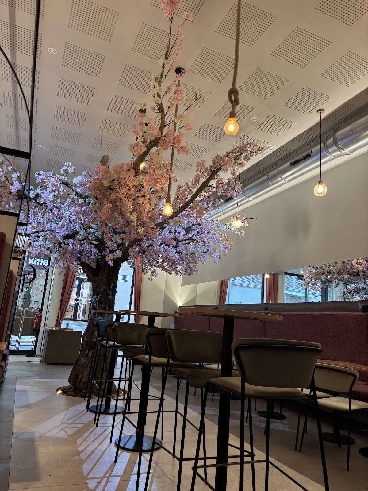 Cherry Blossom Valencia - Foto 3