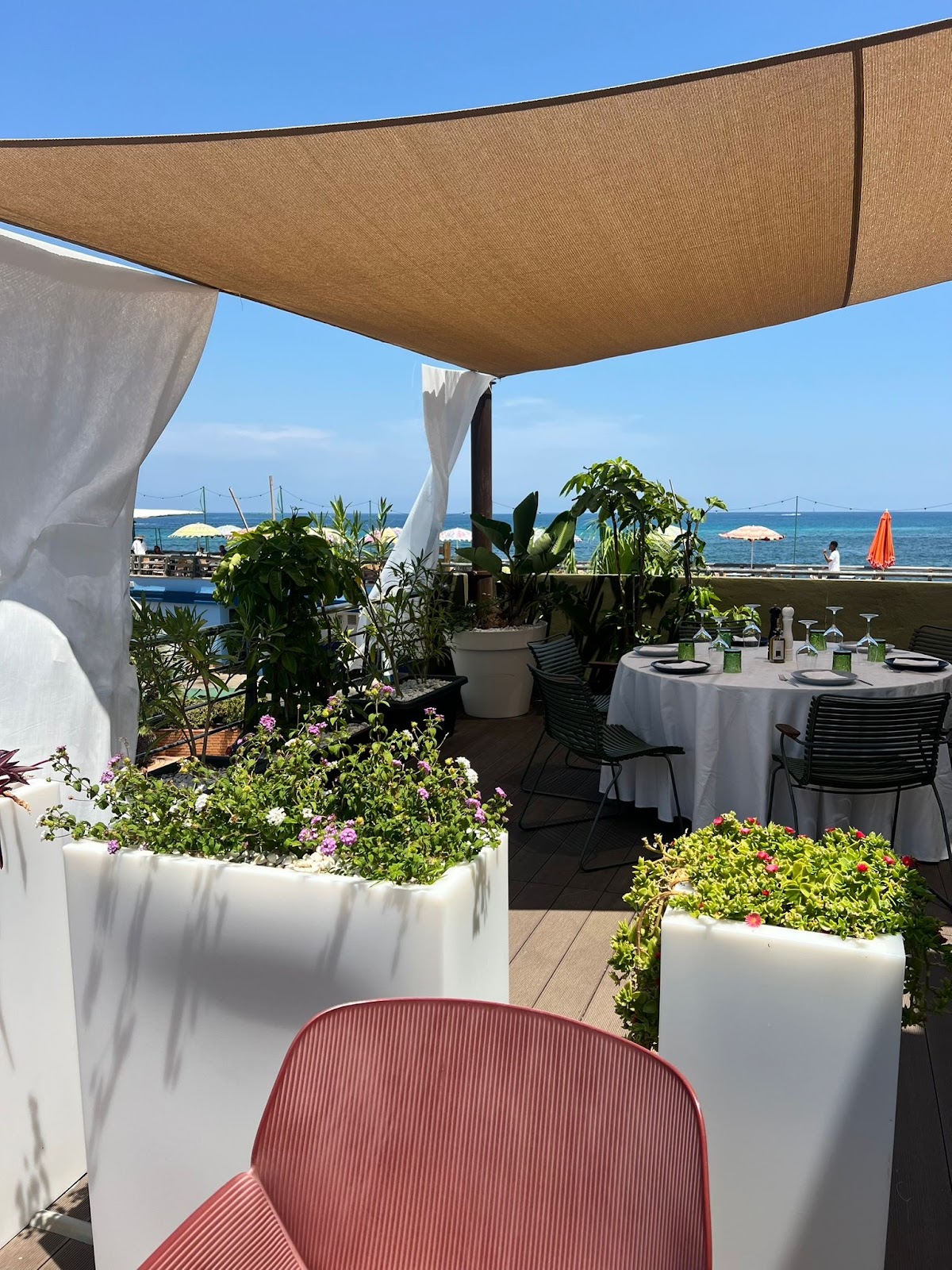 Caval Denia - Foto 1