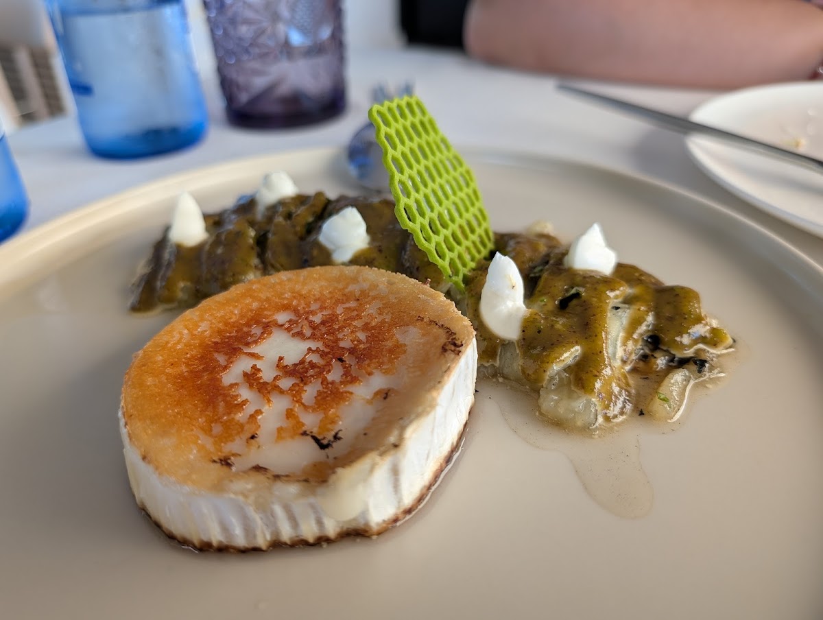 Caval Denia - Foto 3