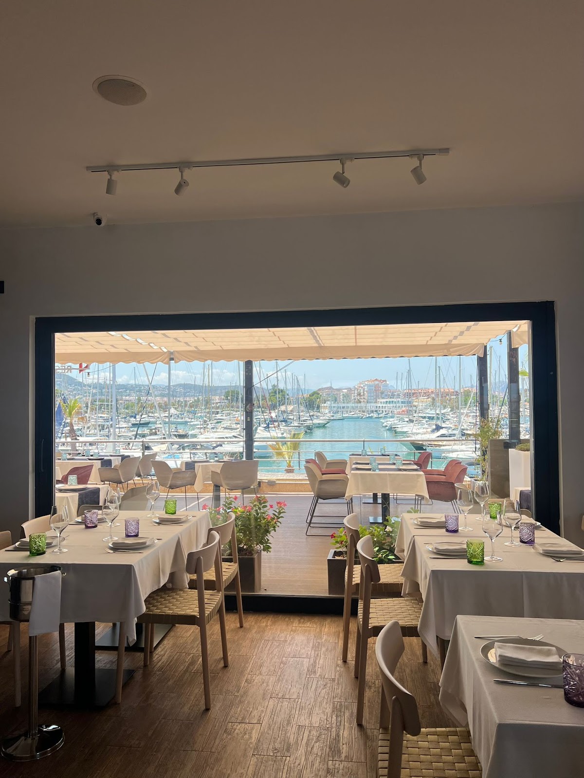 Caval Denia - Foto 5