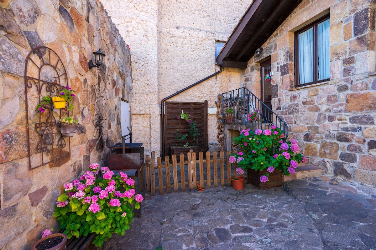 Posada Rural La Piñorra de Vinuesa - Foto 1