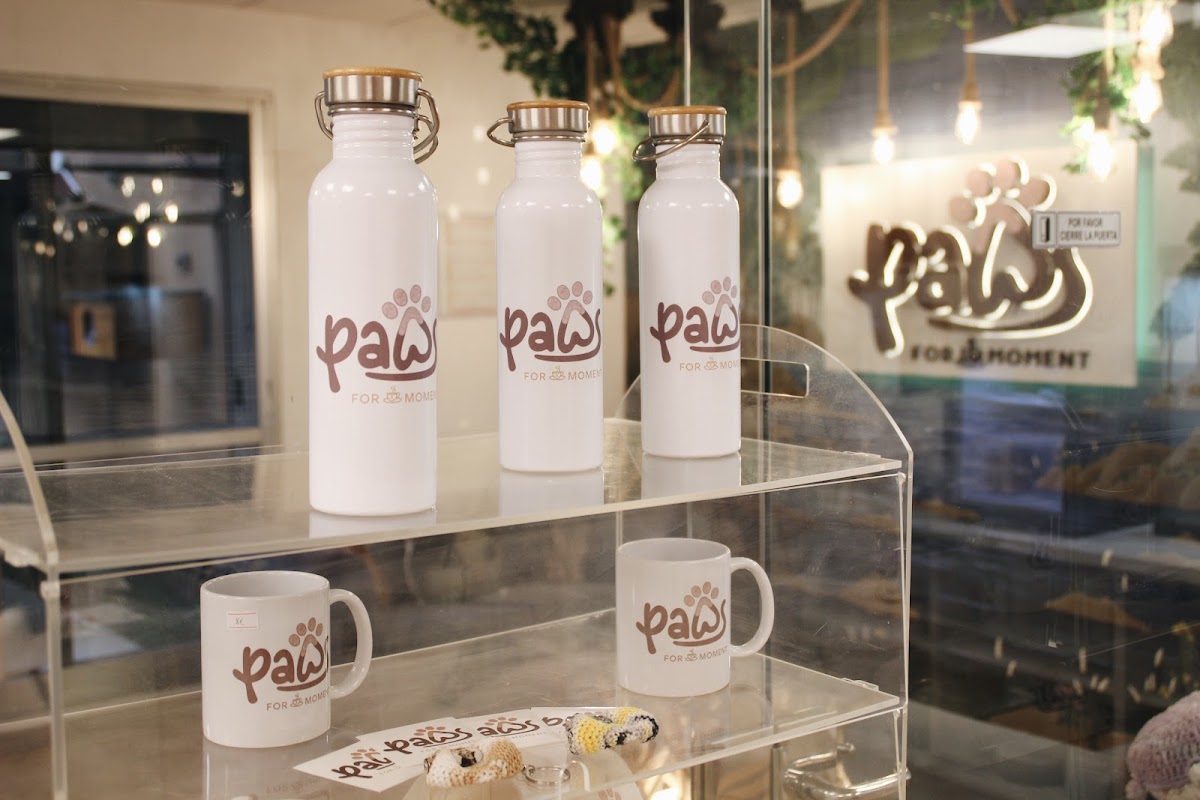 Paws For A Moment (Cat Café Co-Working)