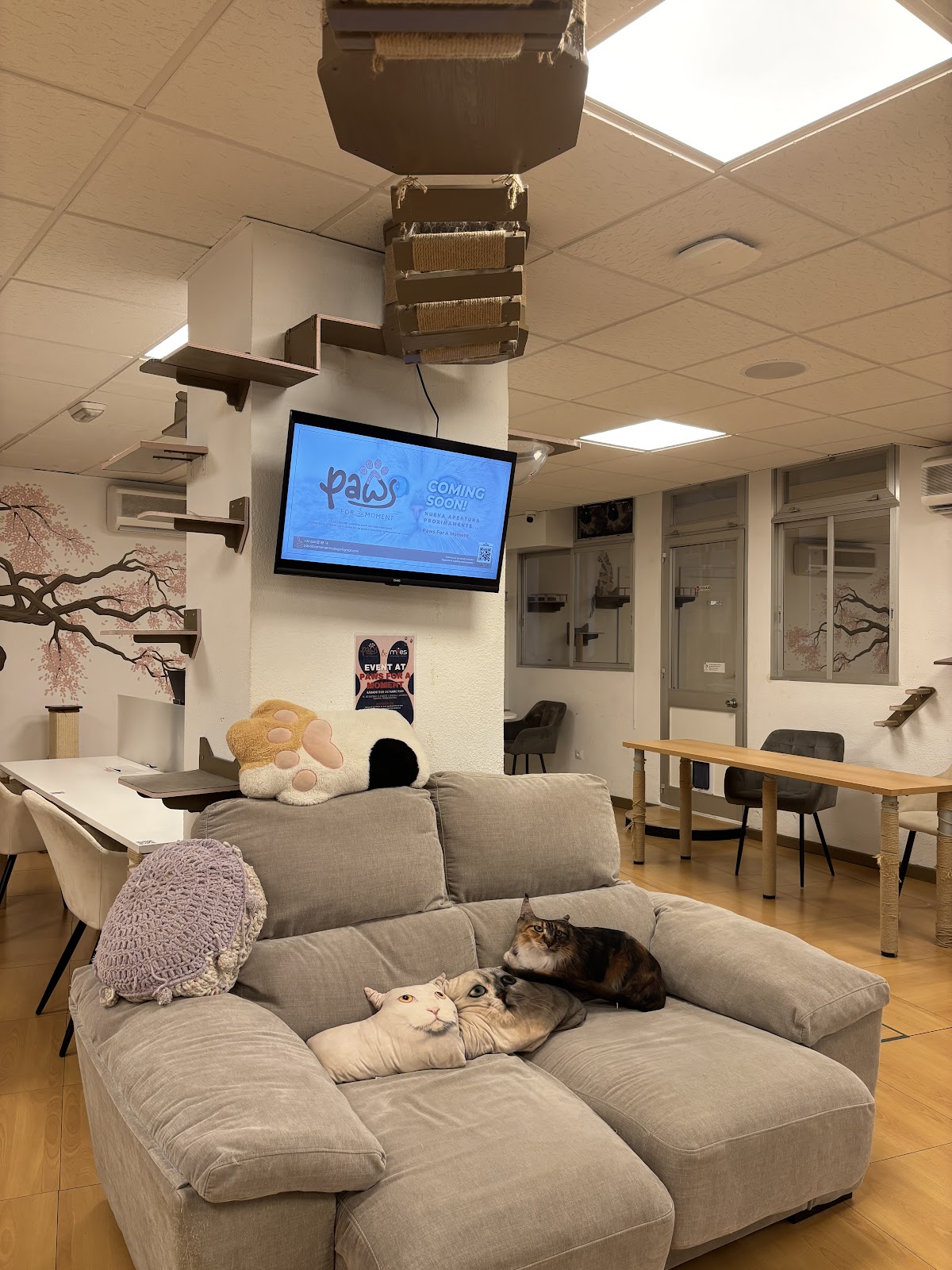 Paws For A Moment (Cat Café Co-Working) - Foto 5