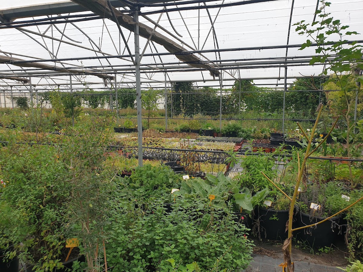 La Calma Pàmies - Foto 4