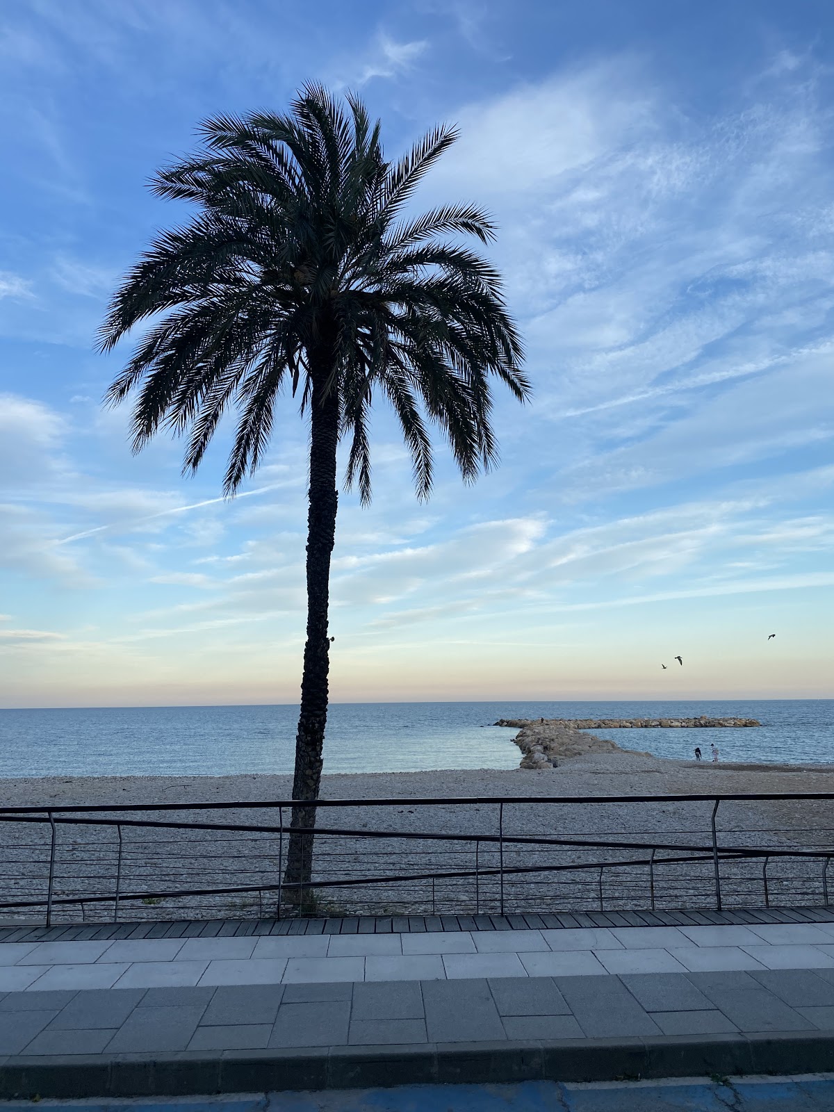 Spice Fusion - Foto 4