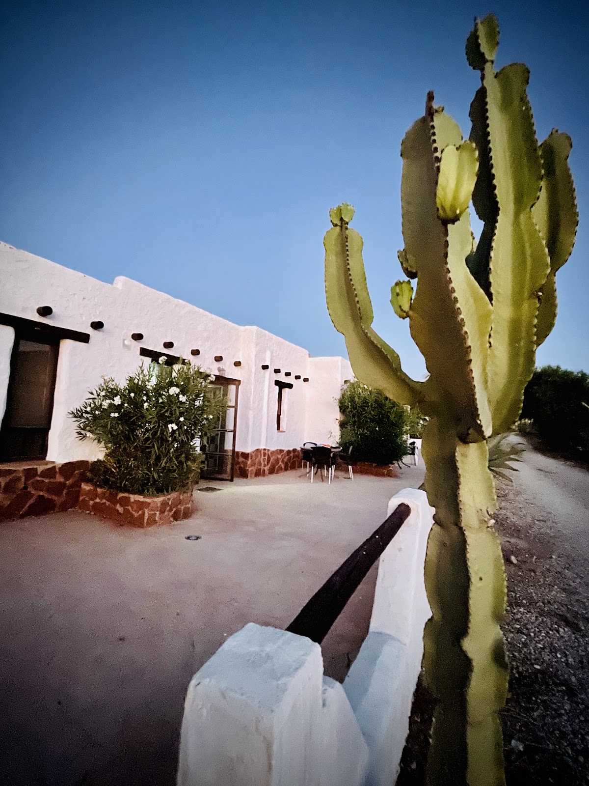 Olivares Alojamiento Rural - Foto 5