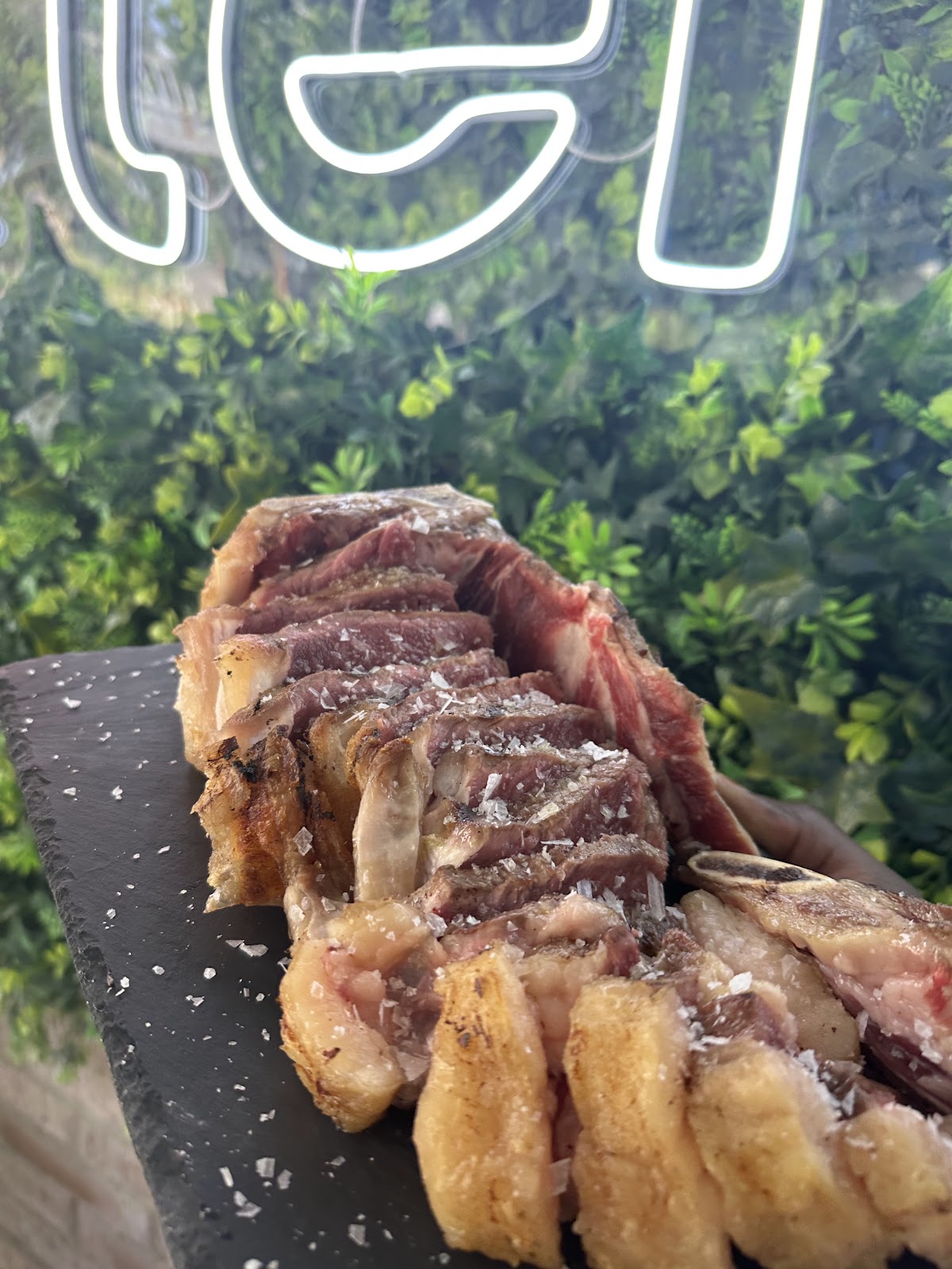 Tenis Lounge Club Huesca - Foto 2