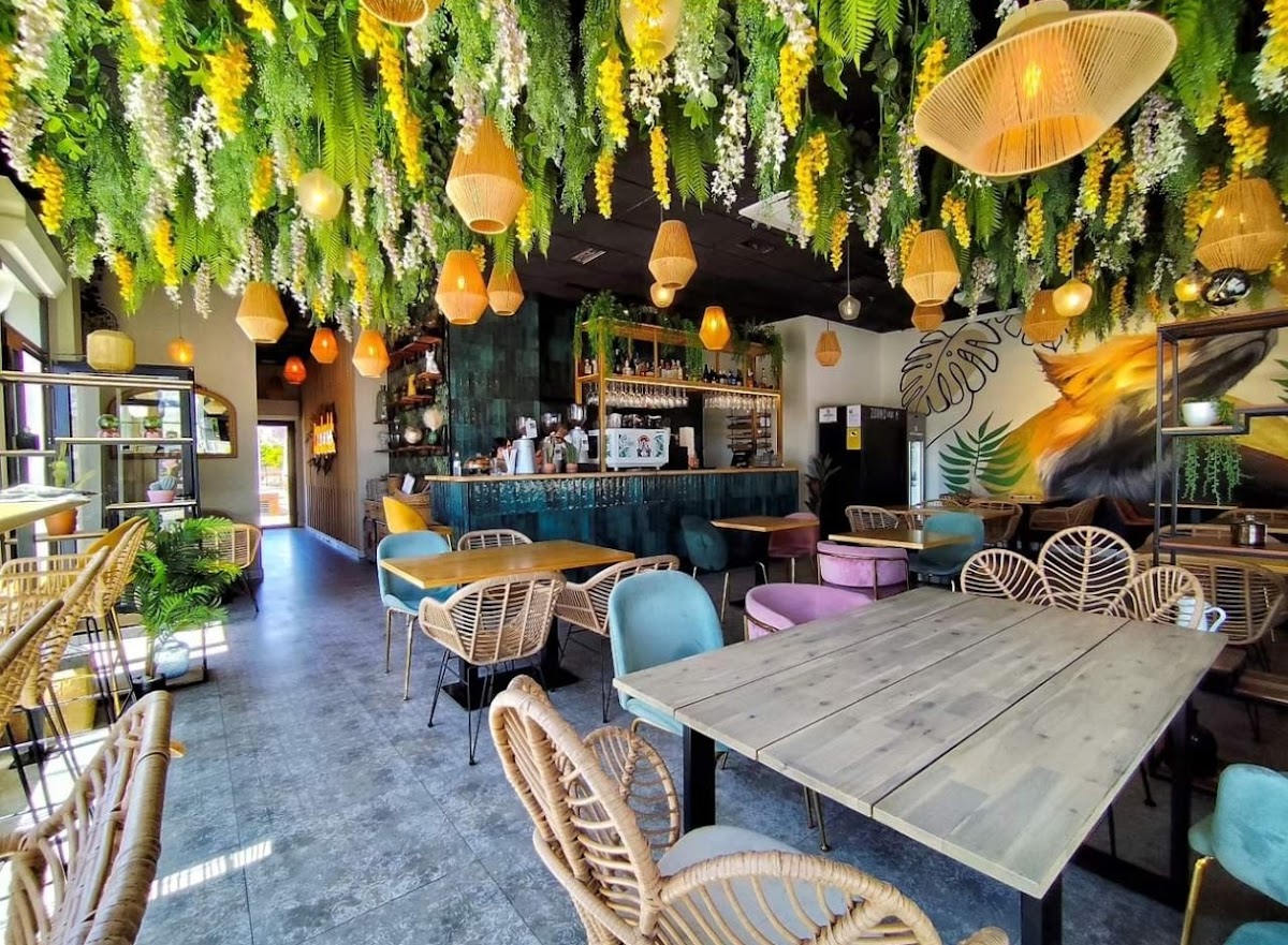 Zorro Viejo Huelva - Foto 1