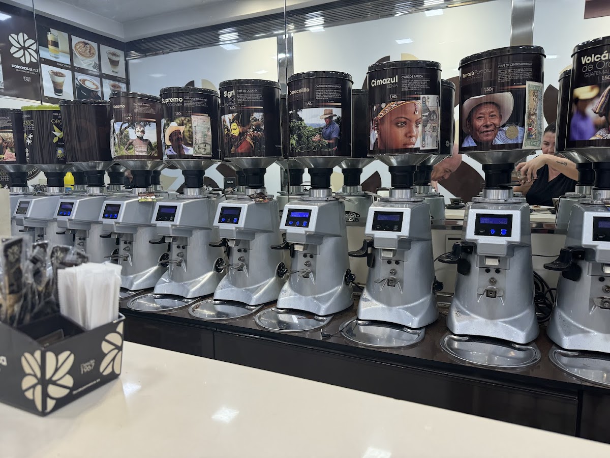 Flor de Jamaica - Foto 3