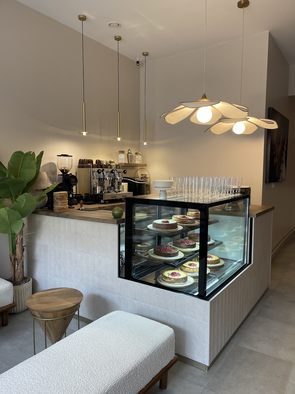 MACÁ Cheesecake Artelier - Wellness Art Cafe - Foto 1