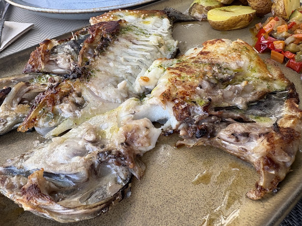 O Regato Pequeno - Foto 3